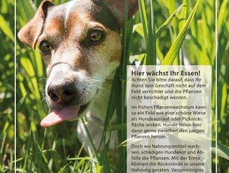 Landwirte fordern: Hunde gehören nicht auf den Acker