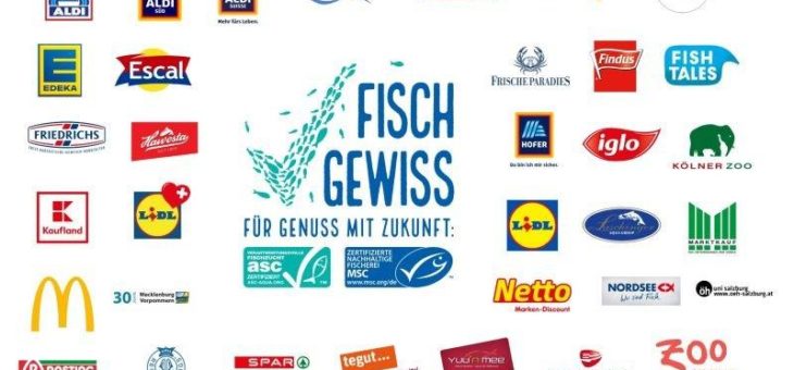 „Schaut genau hin, wo der Fisch herkommt!“