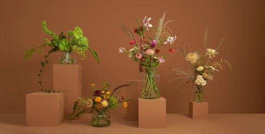 Neue Designs im neuen Online Blumen-Shop von bloomon
