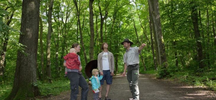 Ab 1. Juli wieder Führungen im Nationalpark Hainich