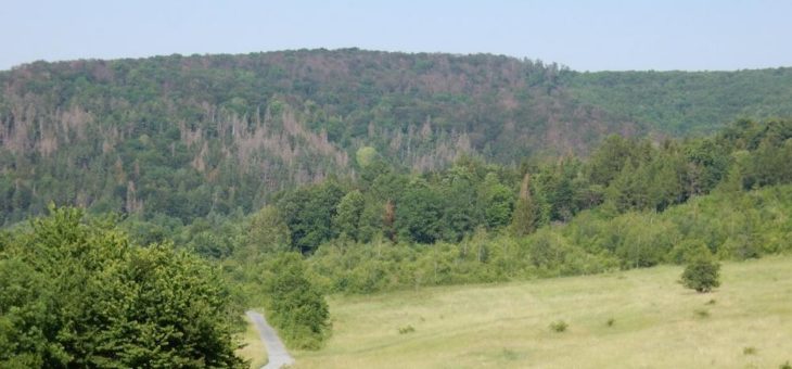 Rundwanderweg Sulzrieden mit neuem Verlauf