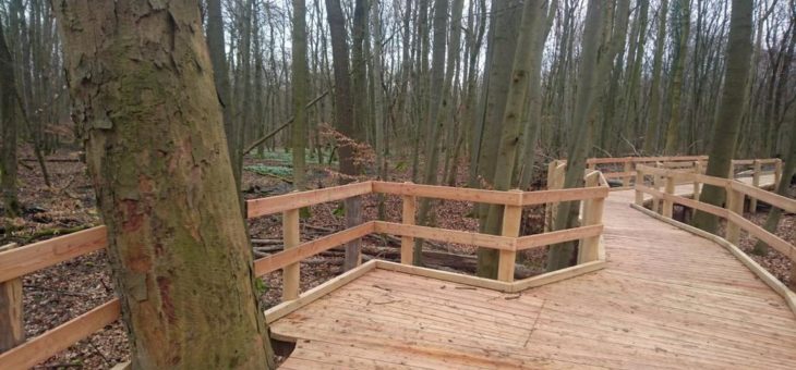 Ab dem Sommer lädt die Waldpromenade zum Flanieren ein