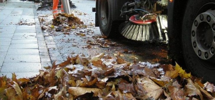 Die Blätter im Herbst machen immer viel Mühe und Arbeit