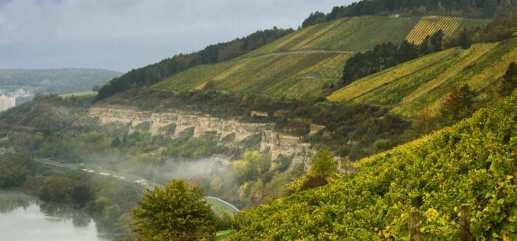 Wanderherbst im Weinberg: Silvaner, Bacchus und Co im Fränkischen Weinland erleben