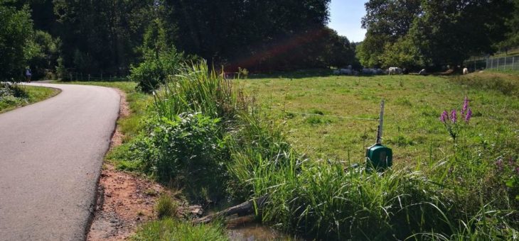 Kaltenbächel in Dahn wird renaturiert