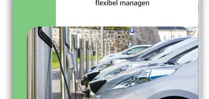 E-Mobilität in der Pkw-Flotte