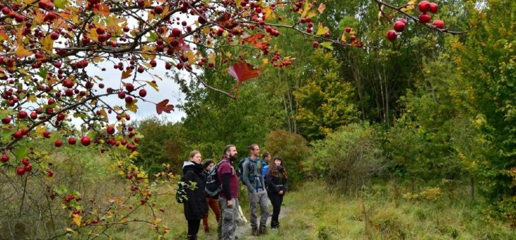 Commerzbank-Umweltpraktikum im Nationalpark Hainich