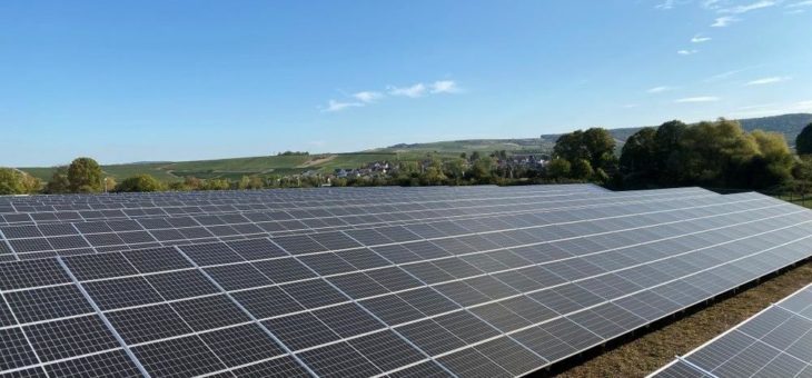 EnBW-Solarpark in Welgesheim liefert Strom für 1.000 Haushalte