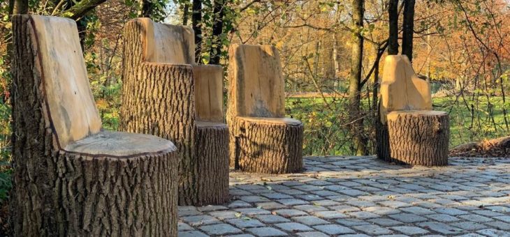 Recycling in Hellabrunn: Bäume zu Bänken