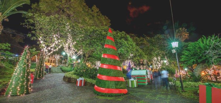 Urlaub ohne Quarantäne: Madeira gilt als sicheres Weihnachtsziel