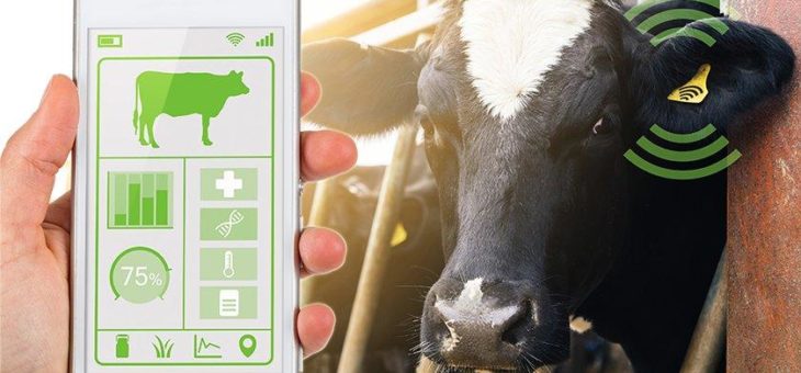 Praxisbeispiel: Asset-Tracking mit Energy-Harvesting-ICs im australischen Outback
