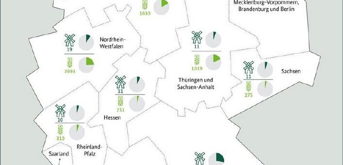 Struktur der Mühlenwirtschaft: Getreidevermahlung konstant – Dinkelmehlerzeugung erneut auf Höchststand