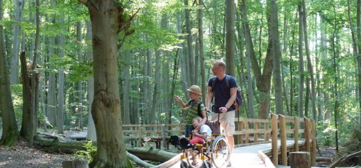 Waldpromenade erhält die Auszeichnung „Barrierefreiheit geprüft“