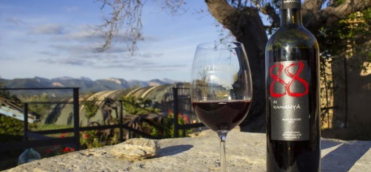 Bodega Ramanyà – Edler, mallorquinischer Weintropfen für besondere Momente