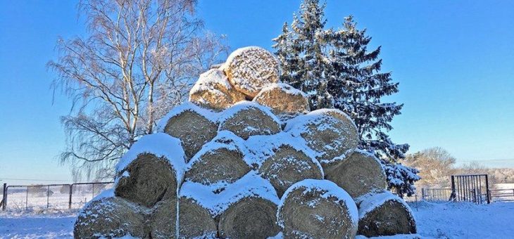 Forum Moderne Landwirtschaft bekommt neuen Onlineauftritt und startet digitalen Adventkalender