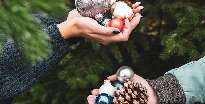 Mit neuem Tannenbaum-Look das Klima schützen