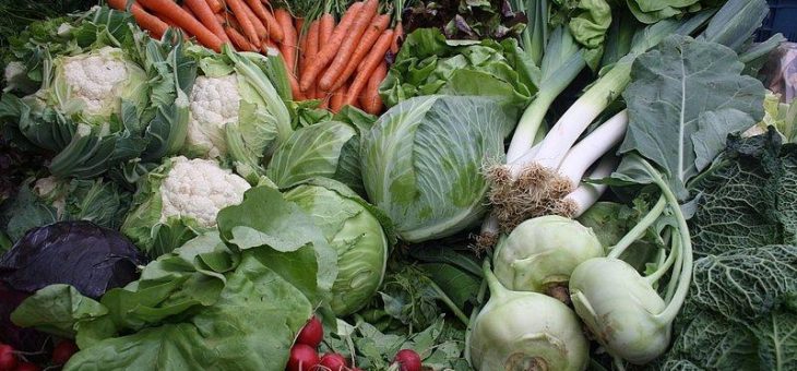 Winterzeit ist Superfood-Zeit