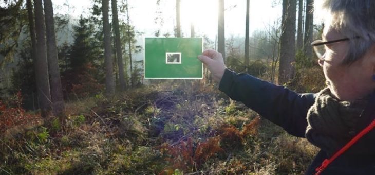 Erste WALDWOHL® Trainer in den Landesforsten für mehr Wald-Gesundheit im Harz