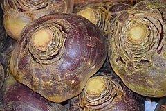 Steckrüben – ein gesundes und leckeres Wintergemüse