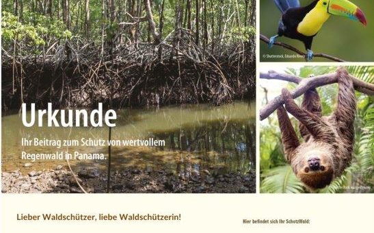 ForestFinance empfiehlt nachhaltige Geschenke zu Weihnachten