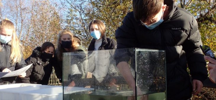 Weschnitz-Dialog: Jugendliche der Martin-Luther-Schule in Rimbach lernen das fließende Gewässer an ihrer Schule kennen