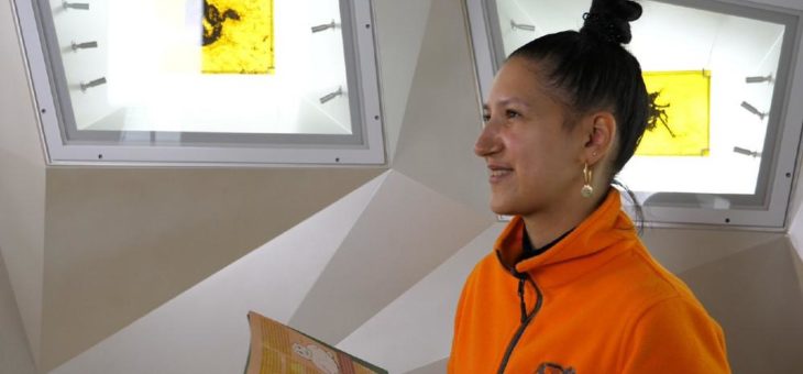 UNESCO Welterbe Grube Messel & Geo-Naturpark Bergstraße-Odenwald: Erste Kinderbuchlesung 2020 wird direkt in die heimischen Wohnzimmer übertragen