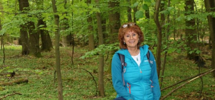 Auf Entdeckungstour im Geo-Naturpark Bergstraße-Odenwald