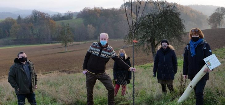 Gemeinde Fränkisch-Crumbach und der Geo-Naturpark Bergstraße-Odenwald: Ein neues Zuhause für die Obstsorten des Jahres
