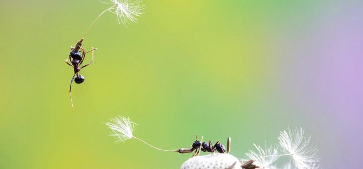 Auf Entdeckungsreise in Europas Natur