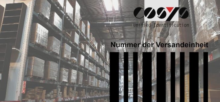 Mit COSYS richtig NVE kommissionieren