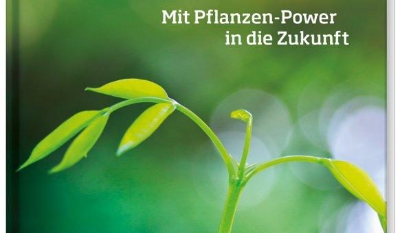 Kaugummi aus Kiefernharz