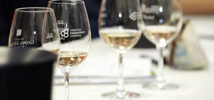 Neues MBA-Fernstudium: Management in der Weinwirtschaft