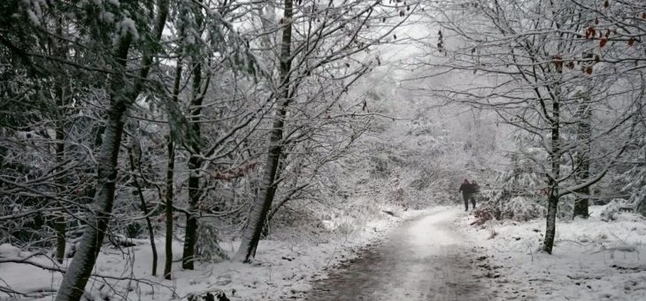 Geo-Naturpark Bergstraße-Odenwald: Winterlandschaften abseits der überlaufenen Highlights auf stillen Pfaden entdecken