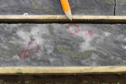 Trillium Gold stößt in 3 von 5 Bohrlöchern auf sichtbares Gold und findet weitere hochgradige Bohrergebnisse auf Newman Todd