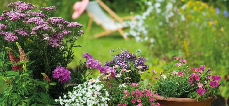 Was mache ich wann im Garten?