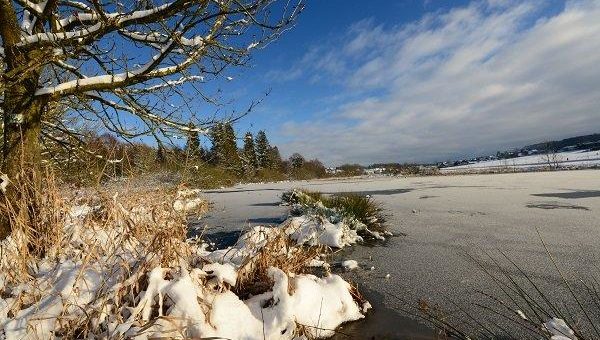 Biberweiher Freilingen inmitten einer verzauberten Winterlandschaft – Biber-Sonntage 2021 der Naturschutzinitiative e.V. (NI)