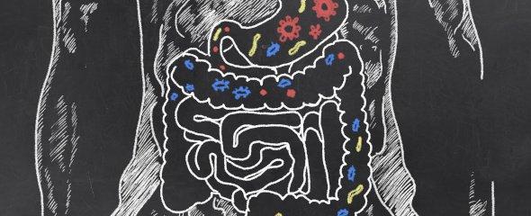 Umfangreiche Datenressource für die Mikrobiom-Forschung