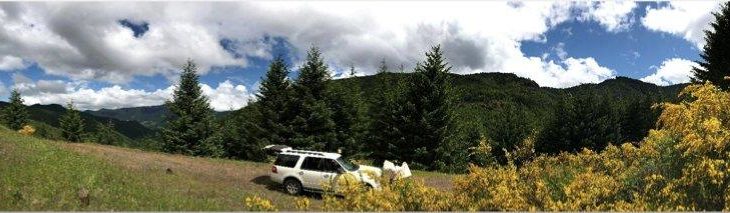 Gold-ETFs waren gefragt in 2020 wie nie zuvor