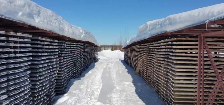 Goldpreis und Geldmenge