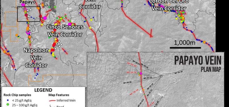 Vizsla erweitert Papayo Schürfstelle nach Süden im Panuco Projekt, Mexiko