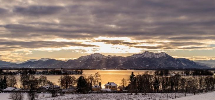 Exotische Heimat: Chiemsee statt Camargue