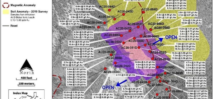 Revival Gold erweitert Zone Haidee anhand der Bohrergebnisse aus 2020 im Projekt Beartrack-Arnett