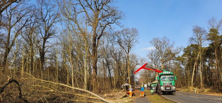 NABU stoppt Baumfällungen im Schutzgebiet „Leitsakgraben“