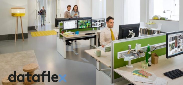 King of Style – Die Dataflex Viewlite Serie