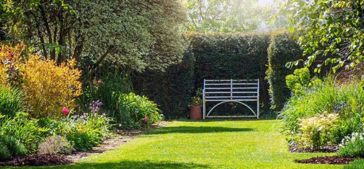 Gartenparadiese mit Josef Starkl in „Gartln mit Starkl“ entdecken