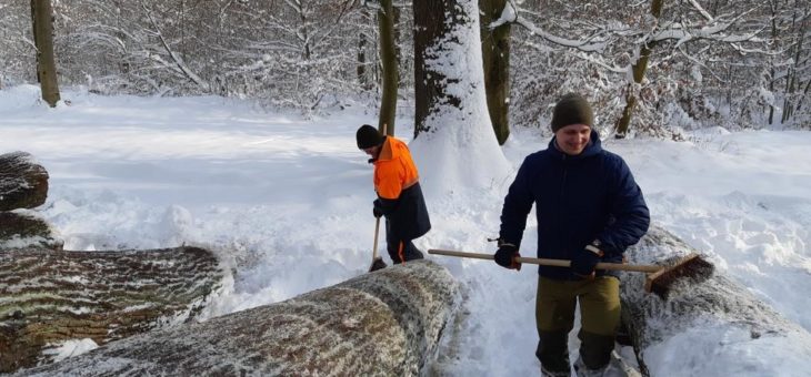 Winterdienst auf dem Wertholzplatz: Von Schnee und Eis befreit sind Eiche und Esche