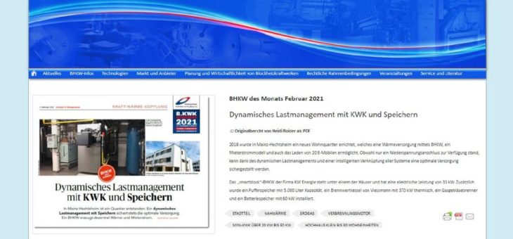 Dynamisches Lastmanagement mit KWK und Speichern wird zum BHKW des Monats gekürt
