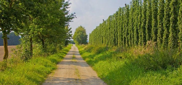 Der Tourismus im Hopfenland wurde nachhaltig gefördert