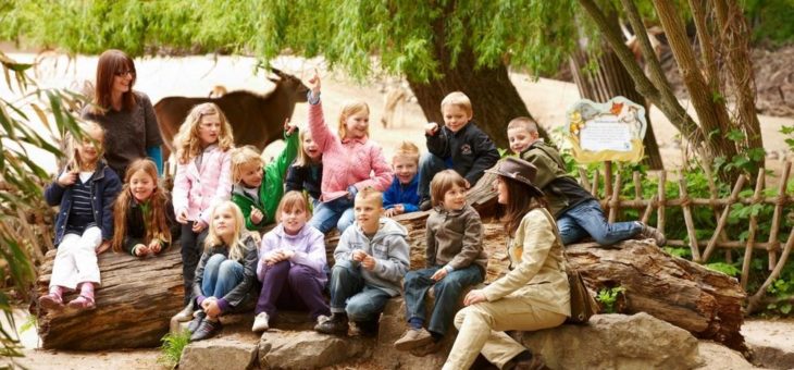 Neue Wege für bärenstarke Unterstützung