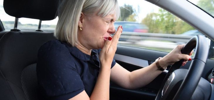 TÜV SÜD warnt Autofahrer vor dem Pollenflug